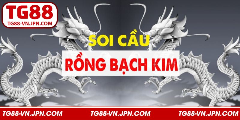Rồng Bạch Kim - Chiến Thuật Soi Cầu Đỉnh Cao Nhất Tại TG88